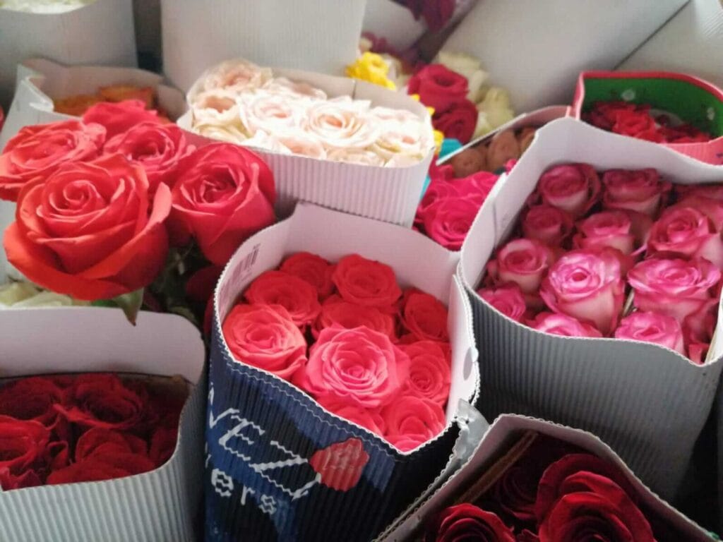 Feligreses donaron más de 5000 rosas a la Virgen del Cisne