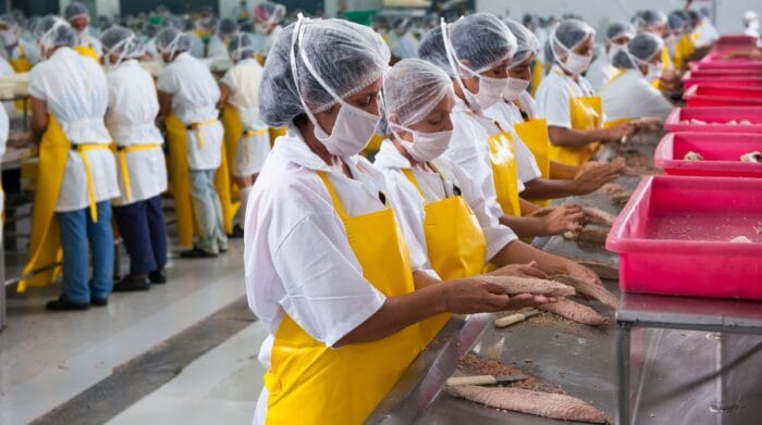 Enfriamiento del comercio mundial empuja estancamiento de exportaciones El enfriamiento del comercio mundial influye en el estancamiento de las exportaciones de Ecuador. Eso sucede en el camarón, atún y pesca, según las cifras hasta abril del 2023 de Fedexpor. Foto referencial: Cortesía / Tecopesca