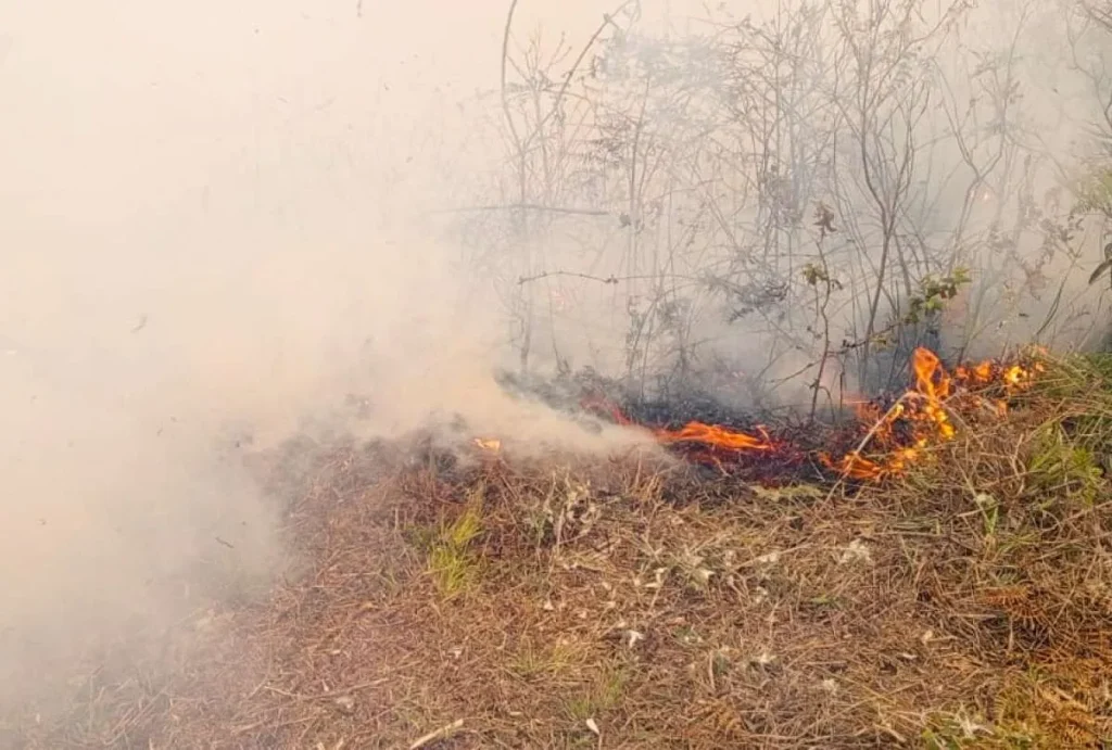 Ecuador inicia la semana con 22 incendios forestales