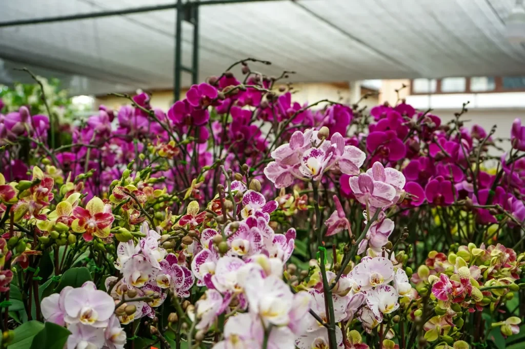 UTPL y Ecuagenera se unen para conservar la riqueza botánica del Ecuador
