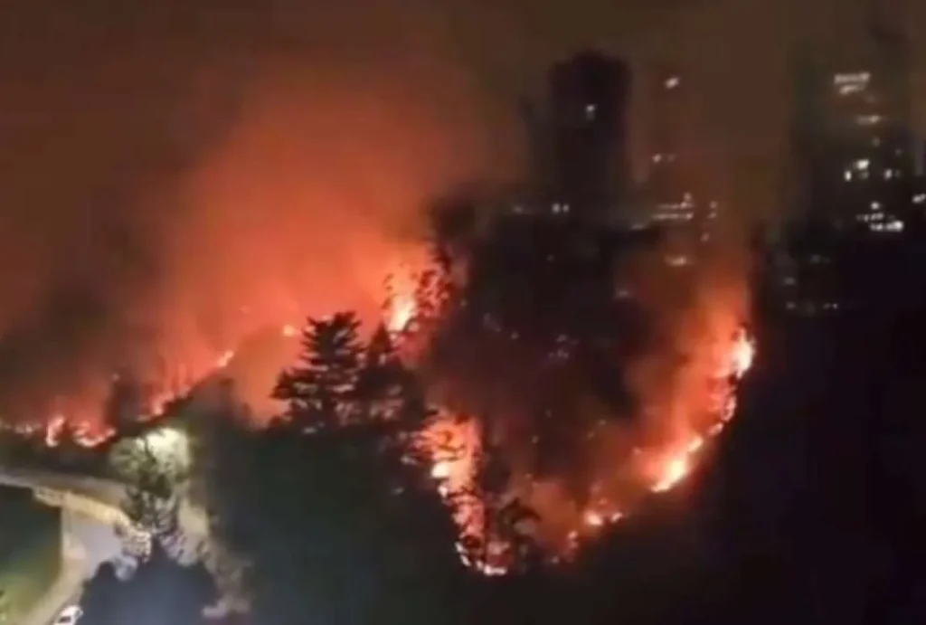 Ratifican prisión para responsable de incendio forestal en Guápulo