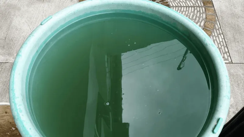 Análisis del MAATE cuestiona calidad del agua potable en Loja