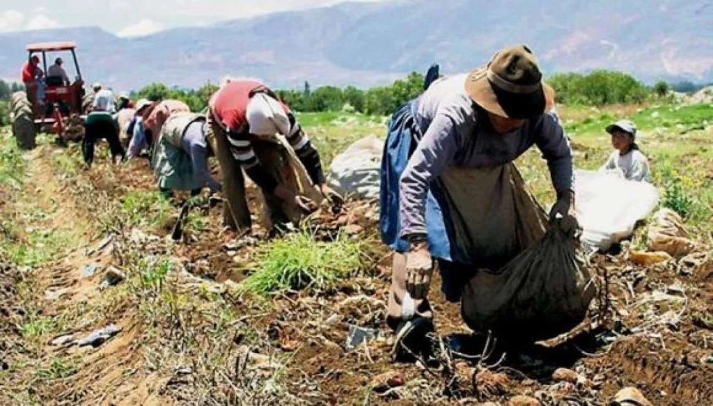 Afiliación al Seguro Social Campesino en Pichincha