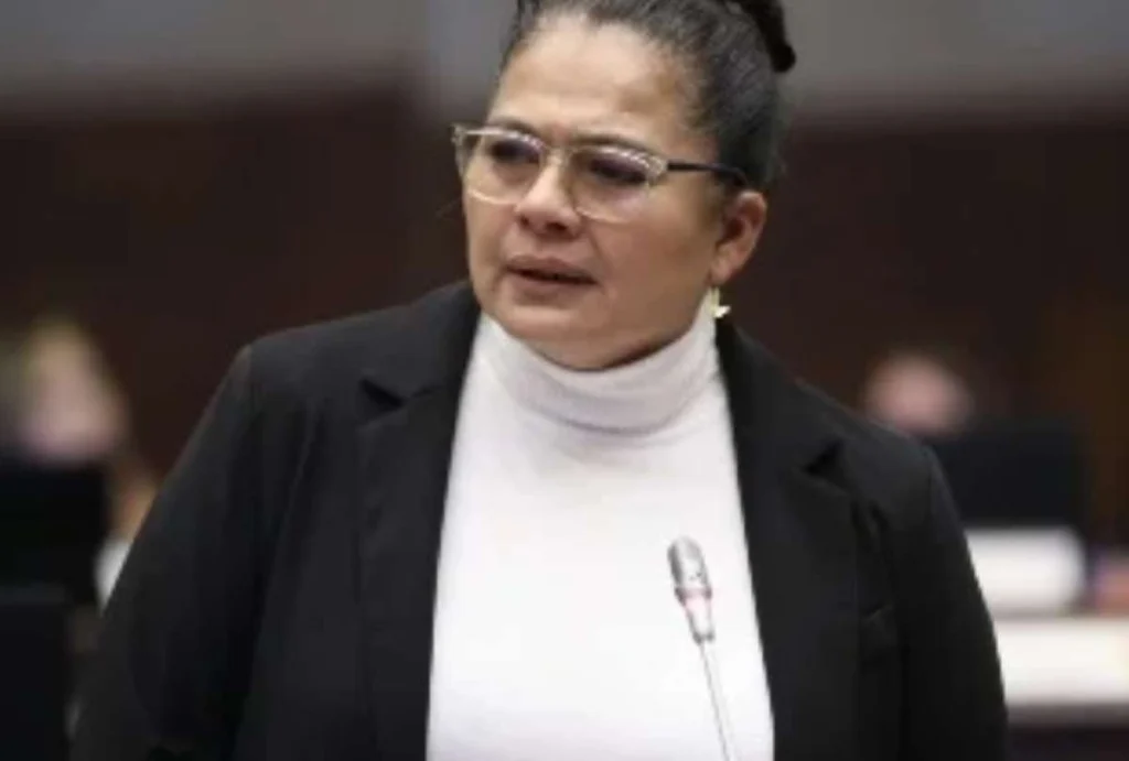 Sandra Figueroa renuncia a comisión y genera polémica