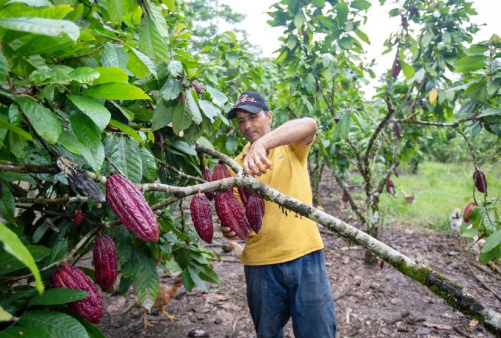 Petroecuador impulsa proyectos sociales en Loja y Orellana