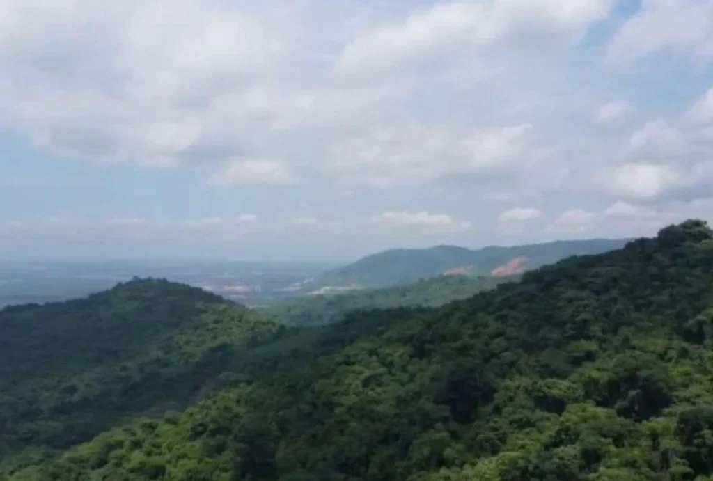 Cerro Azul mantendrá protección pese a actividad minera
