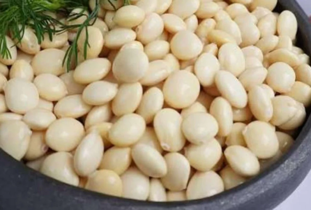 Chocho ecuatoriano: el superalimento que conquista al mundo Chocho ecuatoriano: el superalimento que conquista al mundo