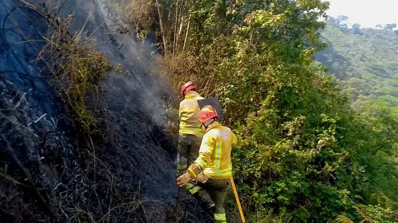 Bomberos de Loja refuerzan prevención de incendios forestales Bomberos de Loja refuerzan prevención de incendios forestales
