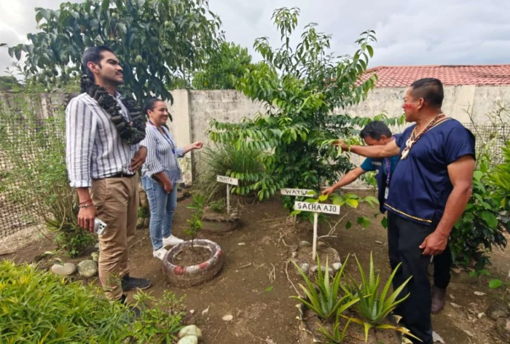 Huertos saludables benefician a familias en Napo