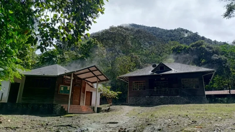Parque Nacional Podocarpus abre gratis sus accesos en Loja y Zamora Parque Nacional Podocarpus abre gratis sus accesos en Loja y Zamora
