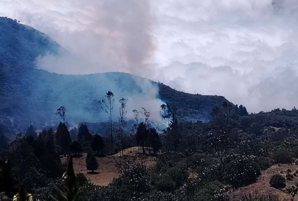 Bomberos de Cuenca atienden cinco incendios forestales en distintos sectores